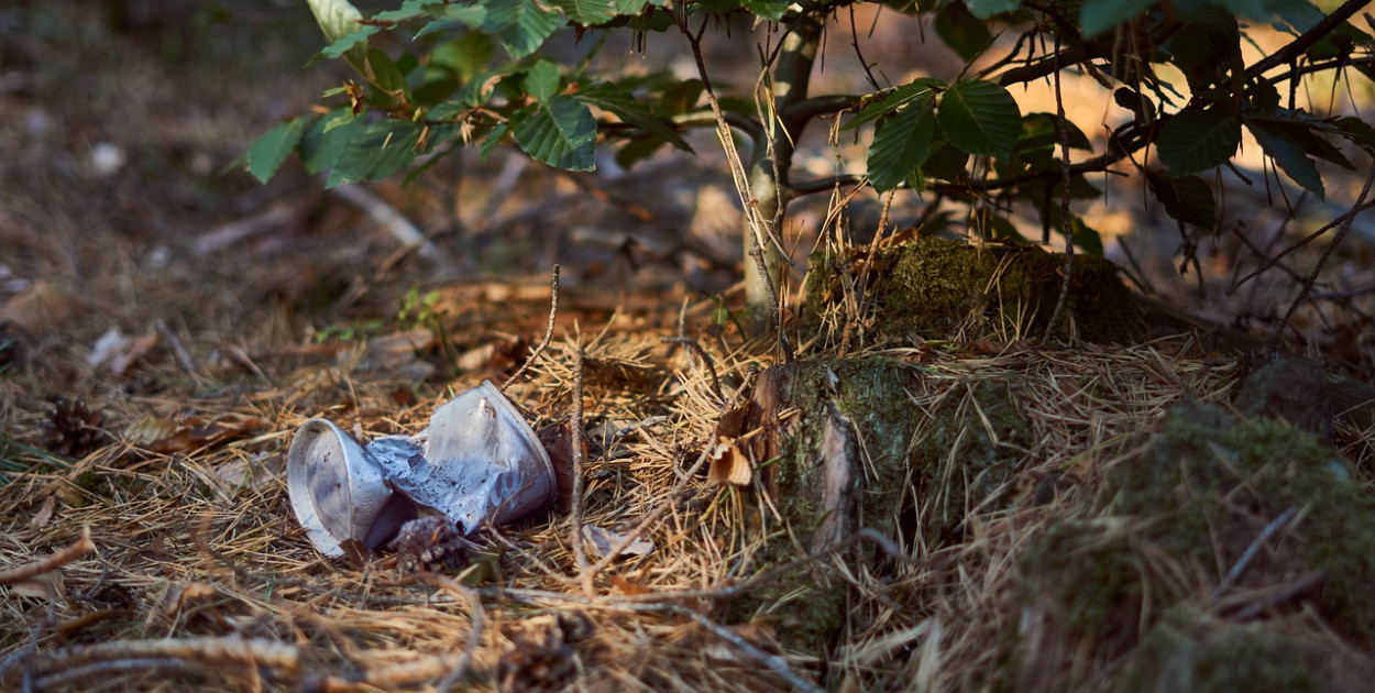 Kary za zaśmiecanie lasów mają być wyższe