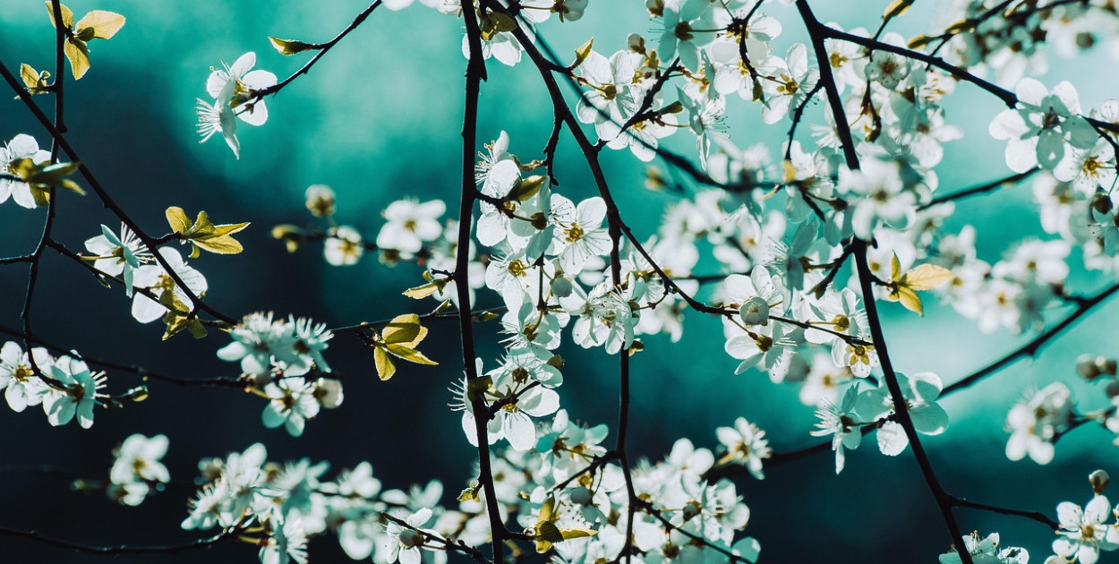 Ocieplenie na Wielkanoc; wysoka temperatura...