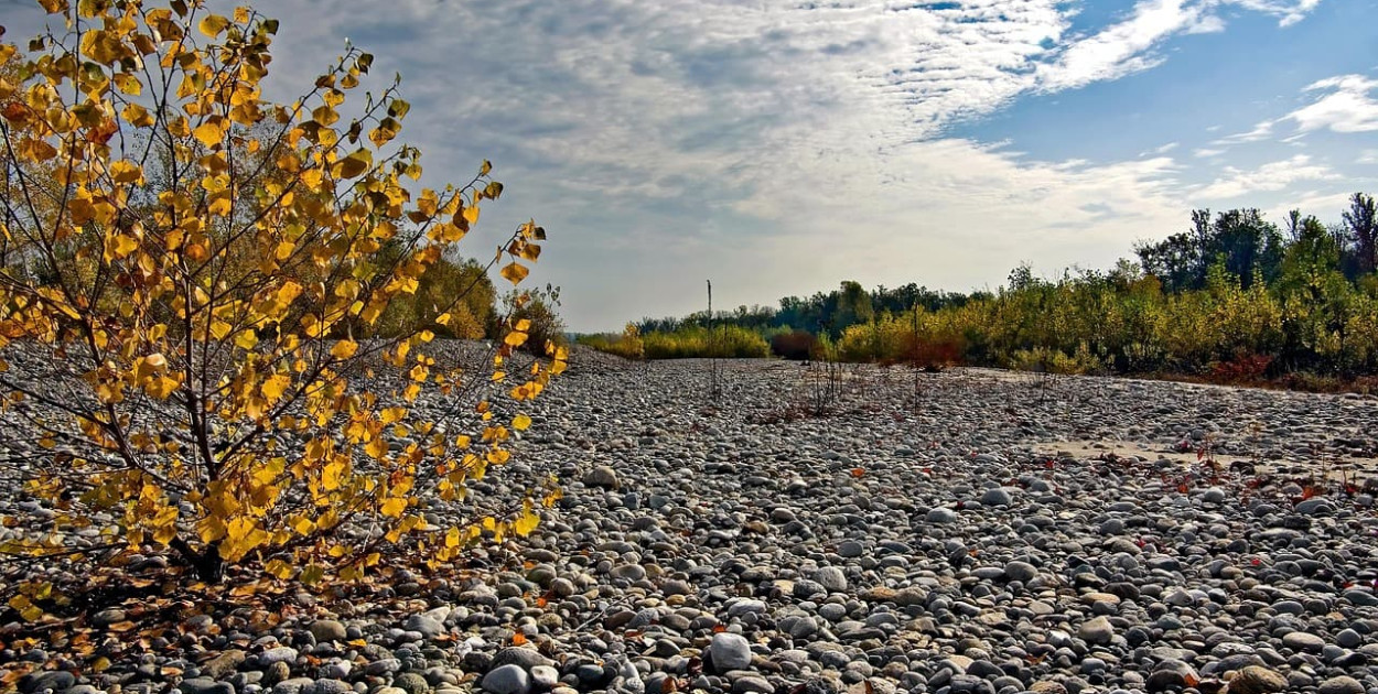 PIG-PIB nadal ostrzega przed niżówką