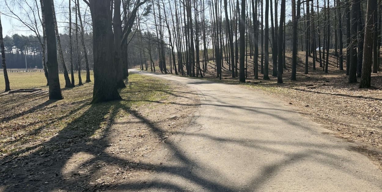 Rowerem pod Częstochową. Te trasy zachwycają lasami i spokojem