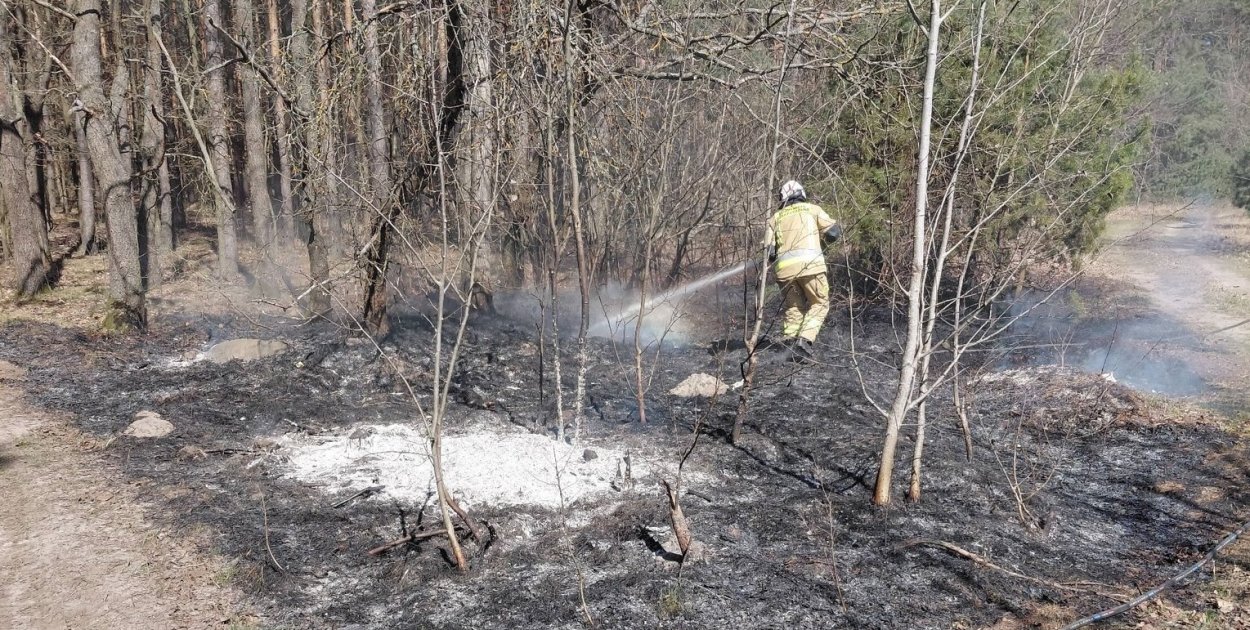 O krok od tragedii! Leśne pożary w gminie Zatory!