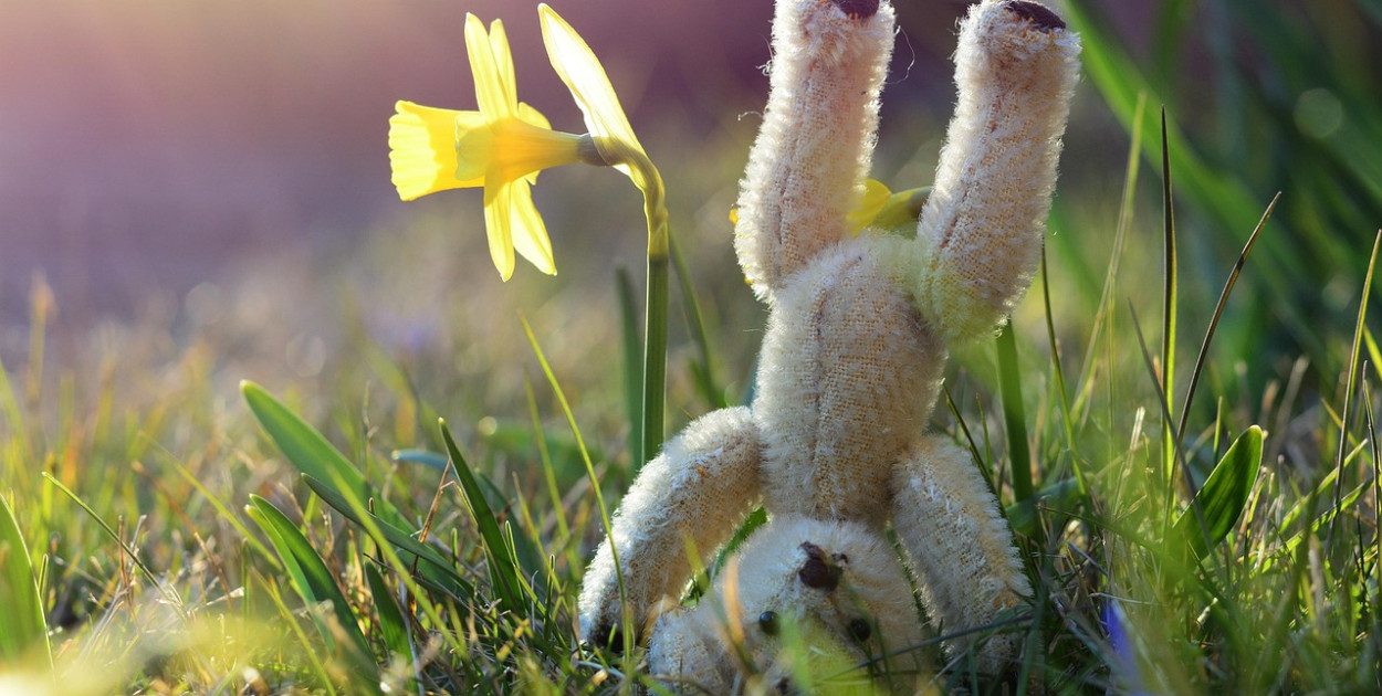 Nadchodzi wyż, a z nim słoneczna pogoda na święta!