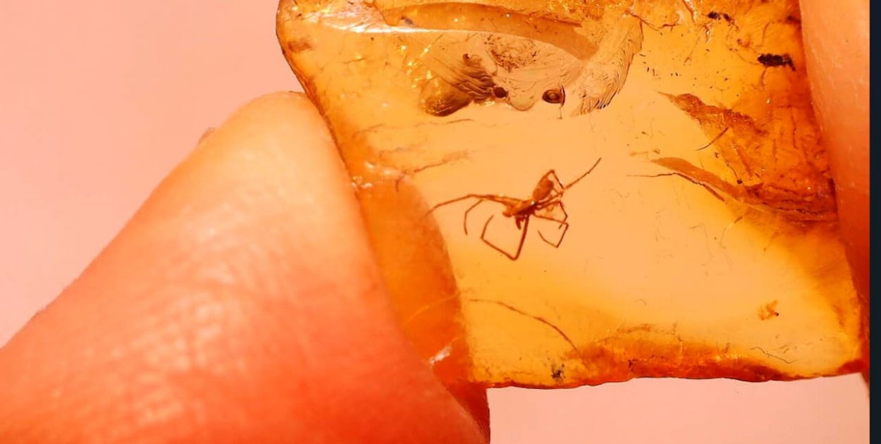 Ciekawe odkrycie pułtuskiego nauczyciela