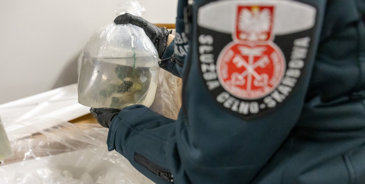 Udaremniony przemyt prawie 1,5 tony rafy koralowej