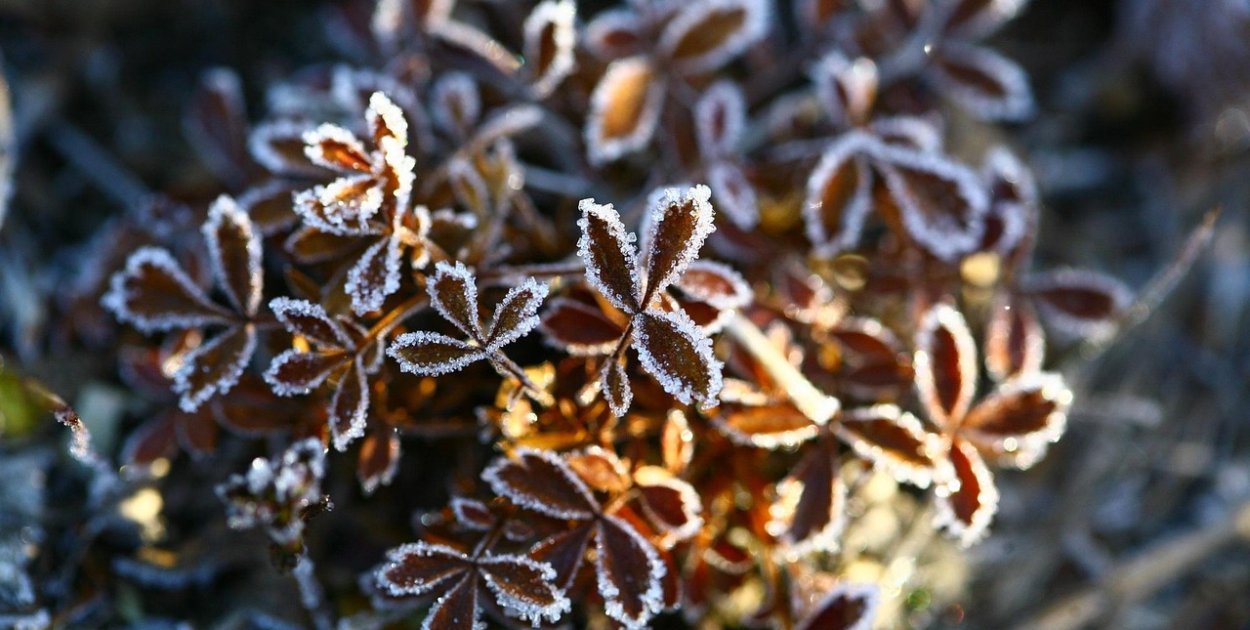 Ostrzeżenie pierwszego stopnia dla miejscowości Pułtusk i dla okolic