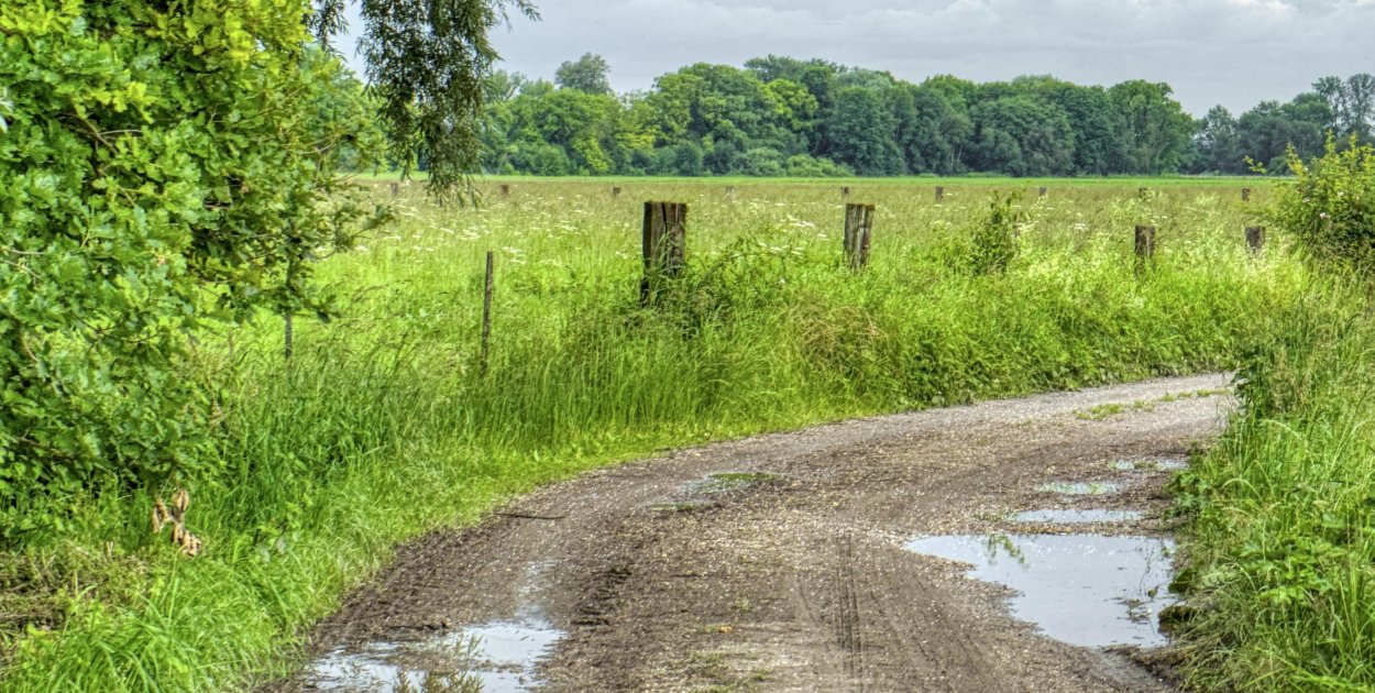 Błoto znika raz na zawsze! Rusza przebudowa drogi w gminie Winnica