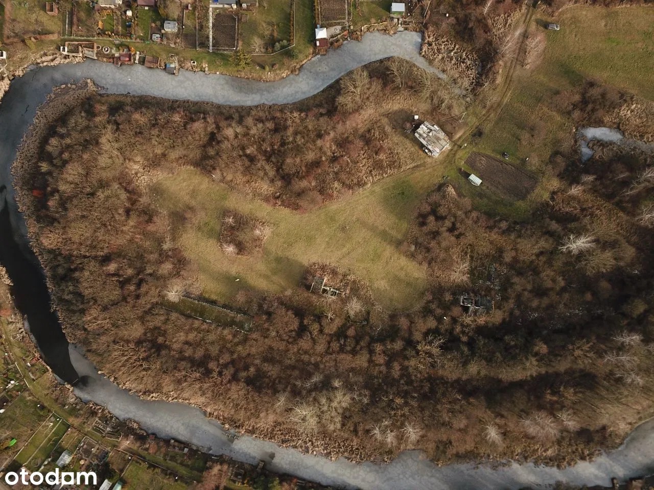 Zdjęcie z portalu otomoto